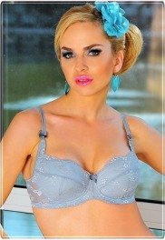 Biustonosz koronkowy srebrny popiel Nicole kor.